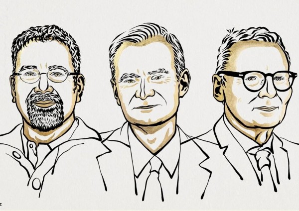  Il Premio Nobel per l&#039;Economia, che chiude la stagione 2024, è stato assegnato all&#039;americano-turco Daron Acemoglu e ai britannico-americani Simon Johnson e James A. Robinson per le loro ricerche sulle differenze di prosperità tra le nazioni. 