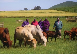 Maasai, sia in Kenya che in Tanzania aggrediti da bracconieri multimiliardari e zecche - Foto