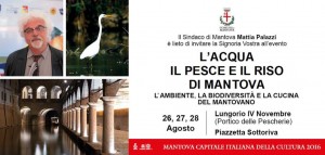 L&#039;acqua, il pesce e il riso di Mantova