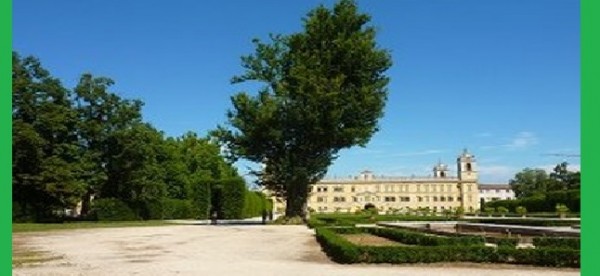 I 106 giganti verdi dell&#039;Emilia-Romagna: ecco gli alberi monumentali iscritti nel primo elenco nazionale