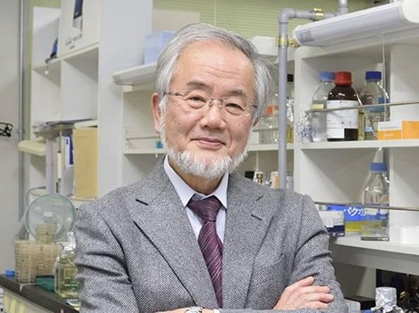 Nobel: premio per Medicina al giapponese Oshumi per autofagia