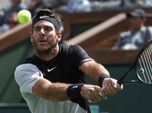 Juan Martín del Potro campeón