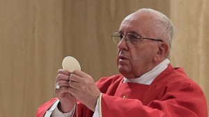 Pope Francis declares murdered French priest a &#039;martyr&#039;