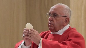 Pope Francis declares murdered French priest a &#039;martyr&#039;