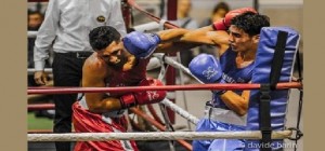 Boxe: il pugliese della Quero-Chiloiro Francesco Magri’ va all’assalto dei “Elite” a Gorizia