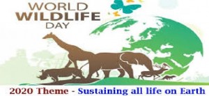 World Wildlife Day, in Italia ancora centinaia le specie a rischio