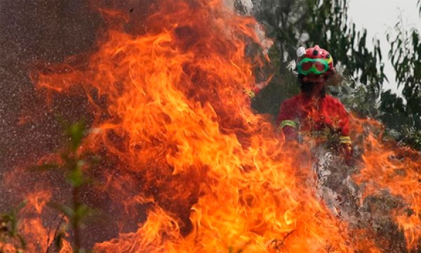 Unos 500 bomberos trabajan en incendio cerca Lisboa