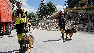 Terremoto, il sismologo belga &quot;Edifici vecchi e non anti-sismici&quot;