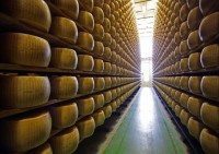 Consorzio Parmigiano, a terremotati 1 euro per kg venduto