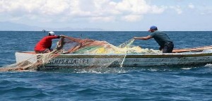 Rifiuti in mare, D&#039;Amato (M5s): piccola pesca non va penalizzata ma sia baluardo di sostenibilità’