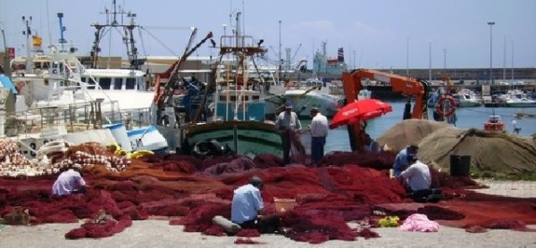 Ferragosto senza pesce fresco arriva il fermo biologico