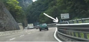 &quot;STOP&quot; autovelox mimetizzati fra le piante
