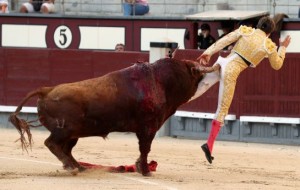 El diestro francés Juan Leal con su primero en el duodécimo festejo de la Feria de San Isidro, esta tarde en la Monumental de Las Ventas, en Madrid, donde comparte cartel con los matadores Octavio Chacón y Javier Cortés, lidiando toros de la ganadería de Pedraza de Yeltes