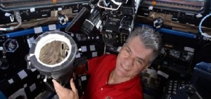 I primi turisti spaziali voleranno nel 2019, assicura Paolo Nespoli