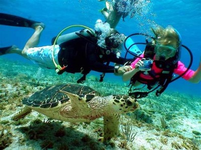 Islas Cayman - Buceo