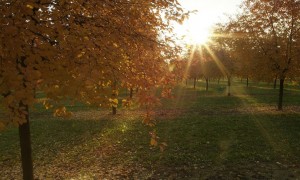 La prossima settimana arriva l&#039;autunno