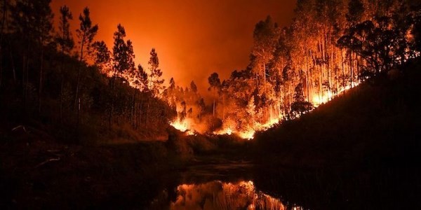 Incendi, Coldiretti «Allarme anche in Italia per caldo e siccità»