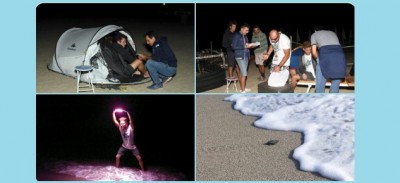 Animali, WWF: altre 6 piccole tartarughe marine nate dal nido di cassano allo Jonio