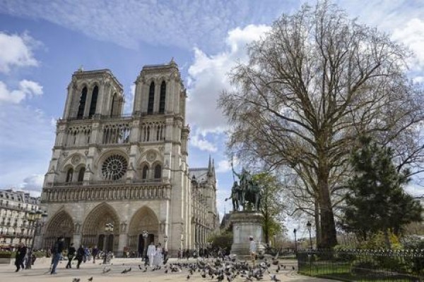 Unos 14 millones de personas visitan cada año Notre Dame, la emblemática catedral parisina.