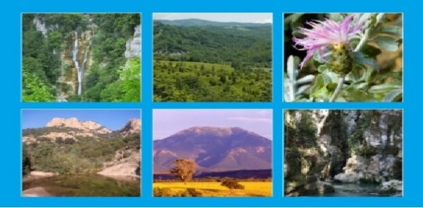 Domenica si festeggiano le Oasi WWF, un rifugio sicuro per la biodiversità italiana