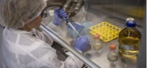 Coronavirus, &quot;Usa indagano su ipotesi origine in laboratorio&quot;