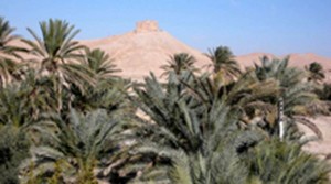 La preistoria di Palmira e la nascita dell’oasi moderna