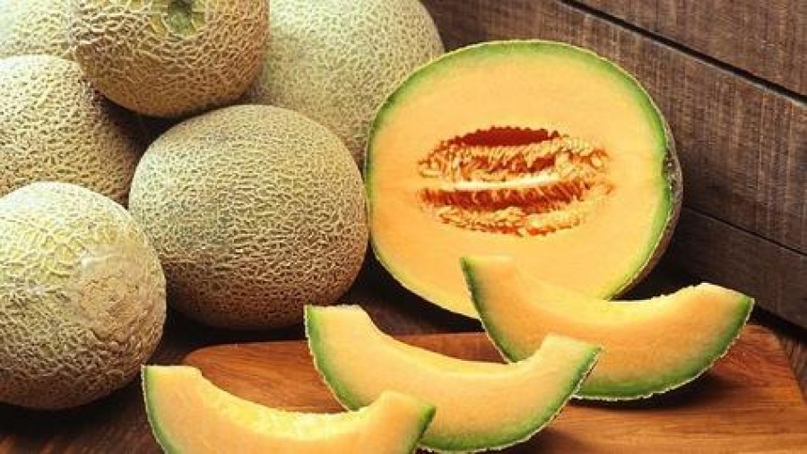 Los melones japoneses que sólo son para millonarios. Una excentricidad en la isla de Hokkaido