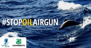 Taranto - #stopoilairgun, Salviamo i delfini