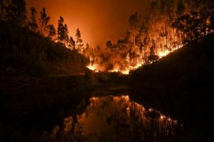 Brucia foresta in Portogallo, almeno 55 i morti intrappolati nelle auto