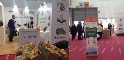 Al Vinitaly in passerella la patata del Fucino igp, piatti preparati da Niko Romito dal 15 al 18 aprile  2018