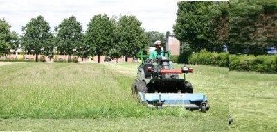 Corita - Sfalci al parco prematura è pulizia etnica di biodiversità