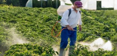 Oltre l&#039;80% della superficie agricola europea contiene pesticidi
