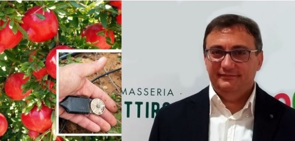 Castellaneta Marina (Taranto) - A Masseria Fruttirossi si coltiva l’innovazione