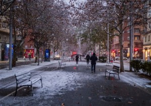Neve Freddo