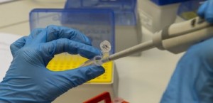 Vaccino &quot;efficace&quot; testato sull&#039;uomo in Cina