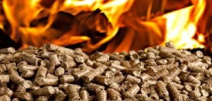 Basta incentivi pubblici per la combustione di biomasse, sì a una reale economia circolare