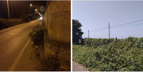 Pulsano (Taranto) – Ok pulizia a Bosco Caggioni e gli altri lidi?