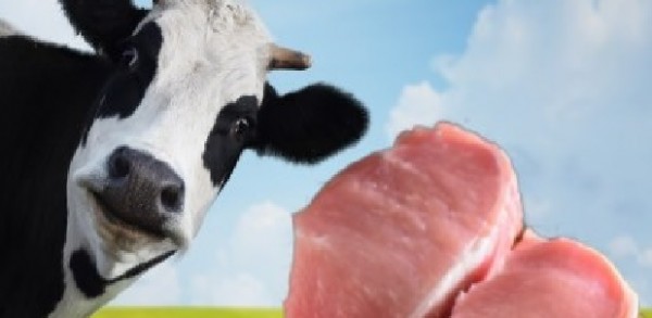 Carne bianca o rossa, stesso effetto nocivo sul livello di colesterolo