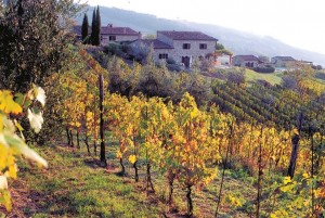 Seminario Veronelli: i tesori nascosti del vino italiano
