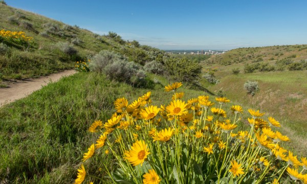 Sole e temperature in rialzo, da lunedì è primavera