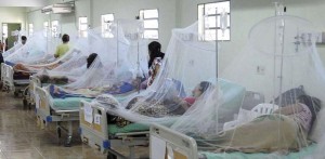 La malaria si diffonde in Venezuela, mentre l&#039;economia implode