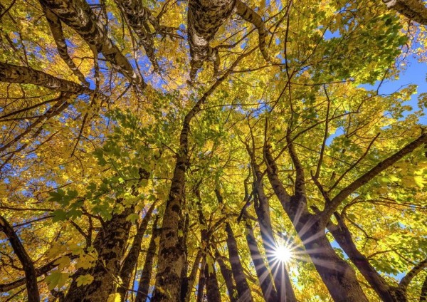 Autunno
