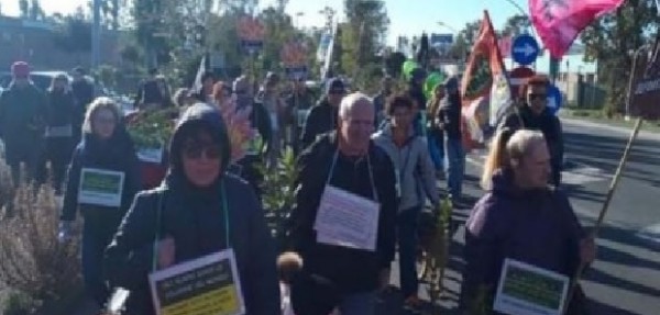 Domenica a Civitavecchia la seconda &quot;Marcia degli alberi&quot;