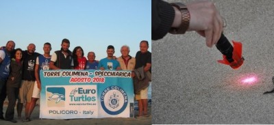 Animali: WWF, nate 87 tartarughe marine a Specchiara (Taranto)