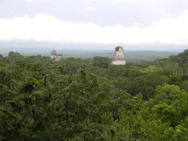 Guatemala, la biosfera Maya minacciata dai ‘narcoallevatori