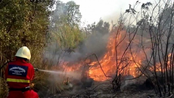 Incendi boschivi, dal 23 luglio scatta lo stato di grave pericolosità