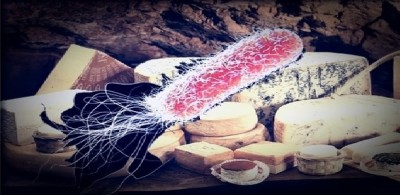 Richiamo europeo per noto formaggio francese con escheria coli