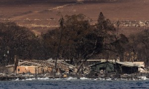 Hawaii in fiamme, record di morti e danni per 6 miliardi di dollari