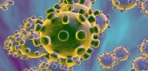 Primo caso negli USA di Coronavirus