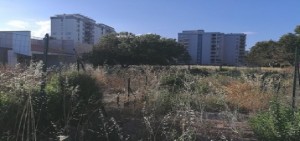 Taranto - Tramontone – Lama - Talsano, terra di nessuno!